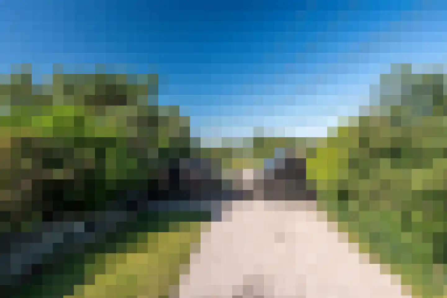 Kloosterlaan 75 Burgum thumbnail 49