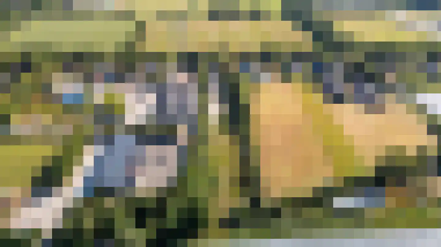 Kloosterlaan 75 Burgum thumbnail 57
