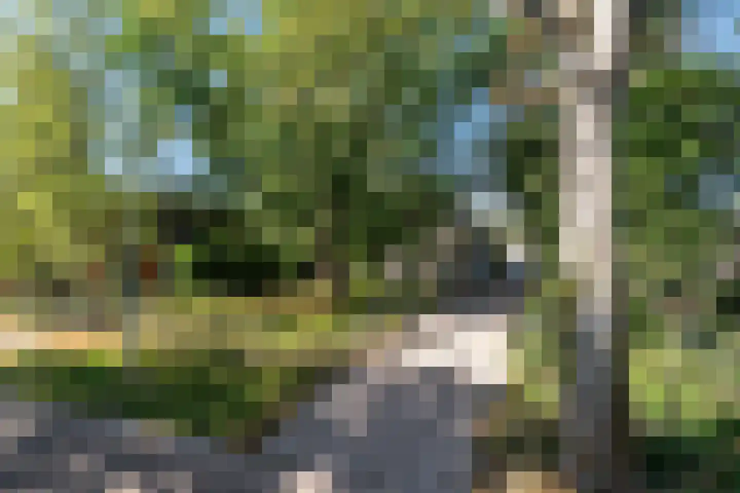 Kloosterlaan 75 Burgum thumbnail 7