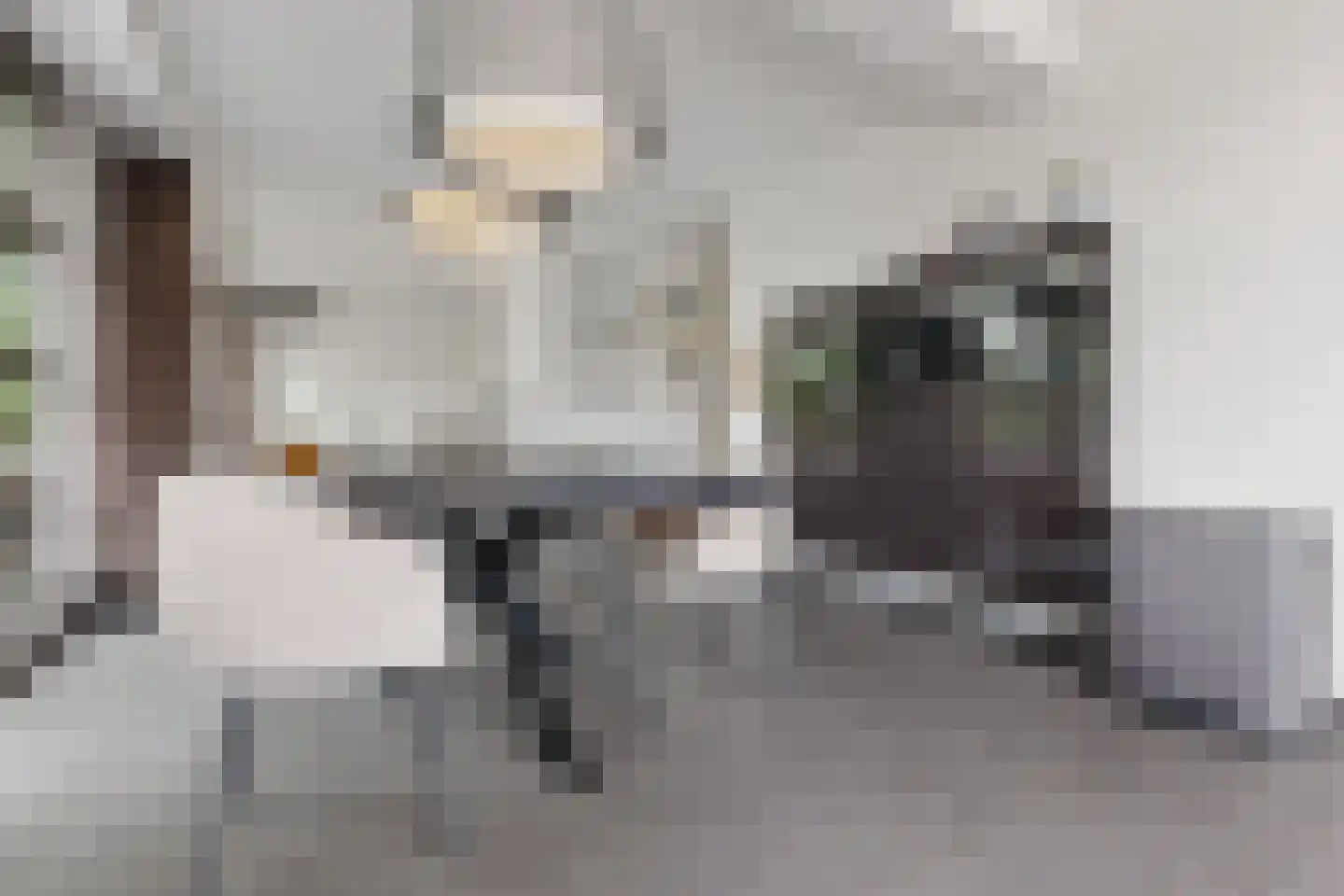Kloosterlaan 8 Huissen thumbnail 15