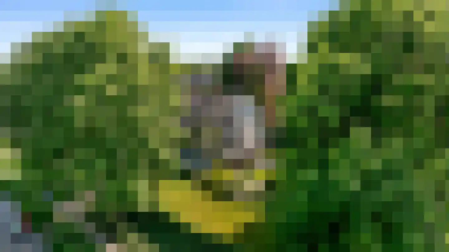Kloosterlaan 8 Huissen thumbnail 44