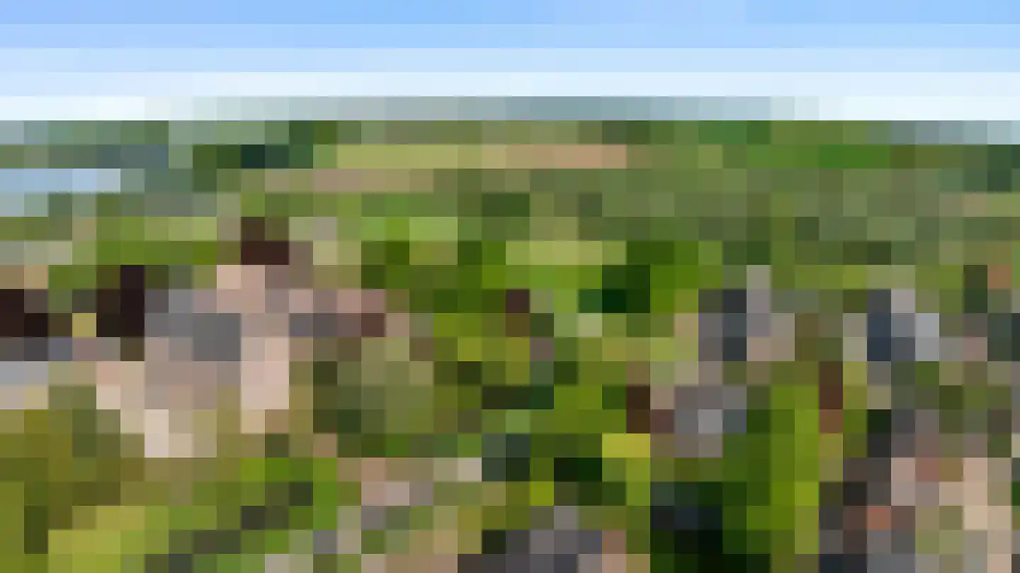 Kloosterlaan 8 Huissen thumbnail 48