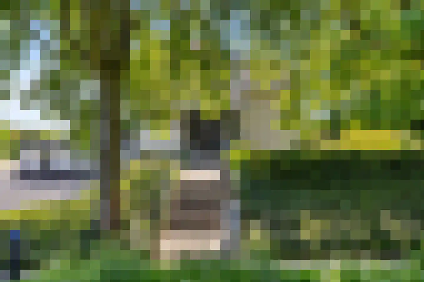 Kloosterlaan 8 Huissen thumbnail 5