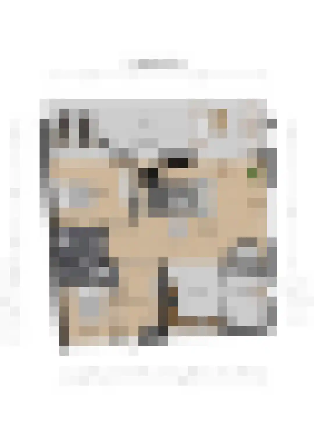 Kloosterlaan 8 Huissen thumbnail 65