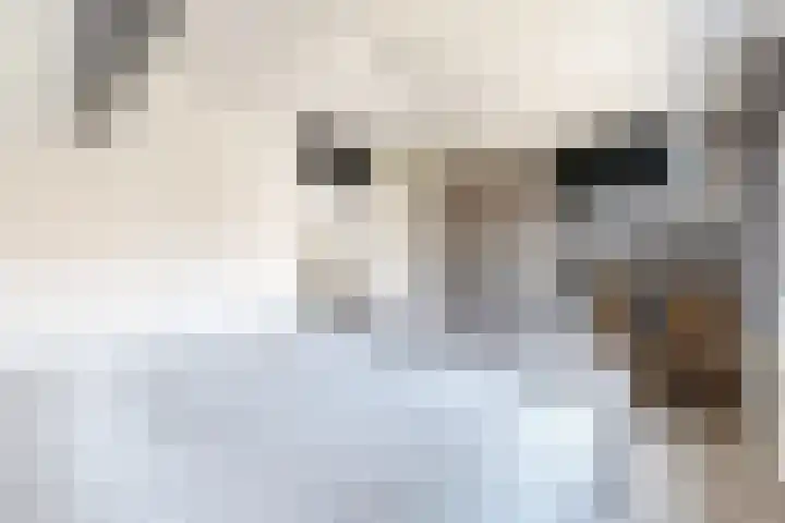 Kloosterlaan 9 Langeweg thumbnail 39