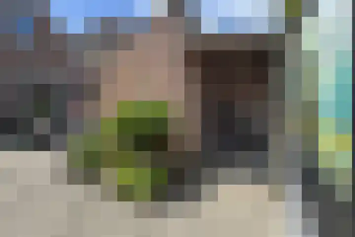 Kloosterlaan 9 Langeweg thumbnail 47