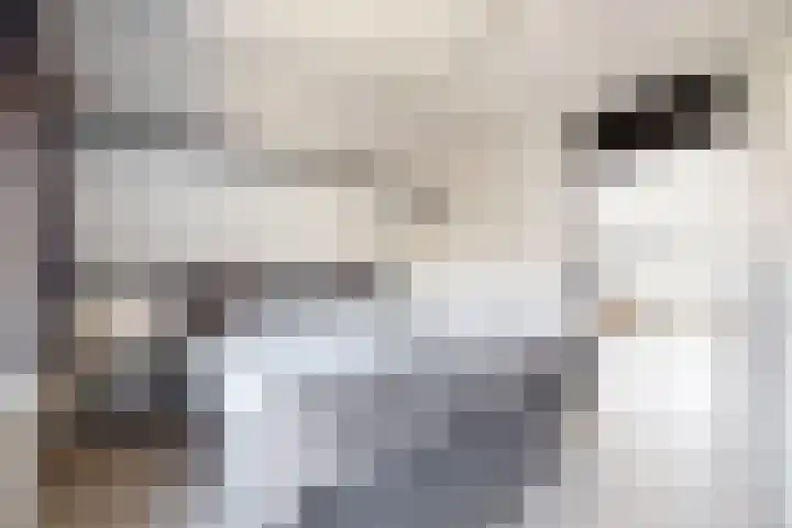 Kloosterlaan 9 Langeweg thumbnail 5