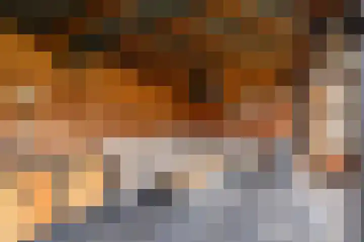 Kloosterlaan 96 Winschoten thumbnail 31