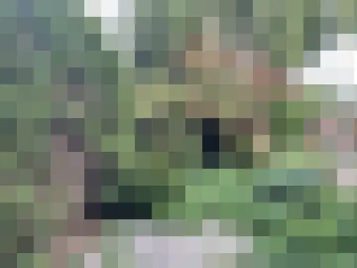 Kloosterlaan 97 Hilversum thumbnail 6