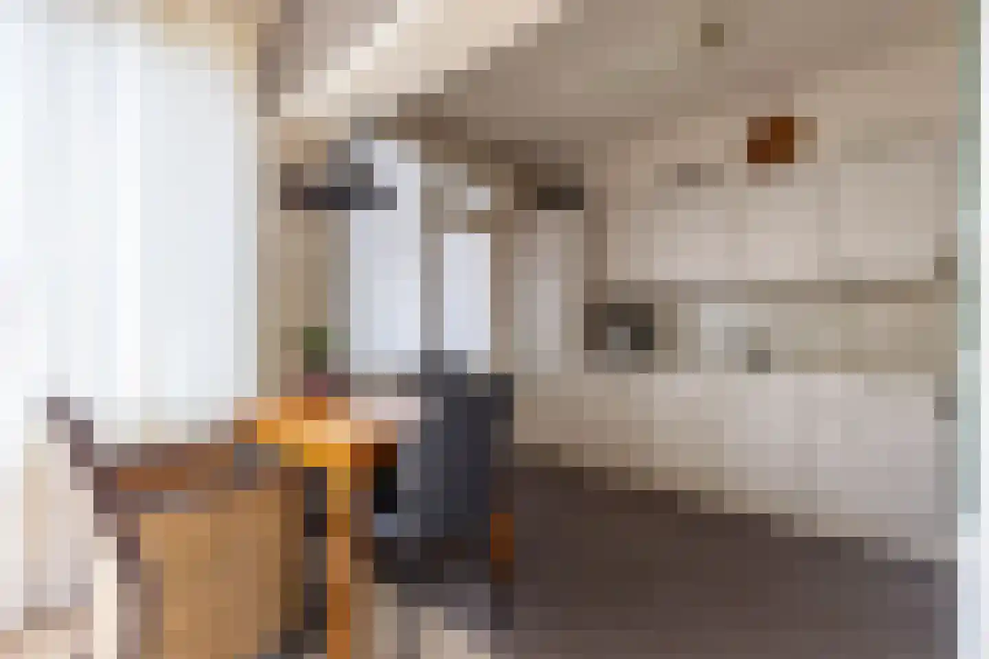 Kloostermankamp 4 Drogeham thumbnail 13