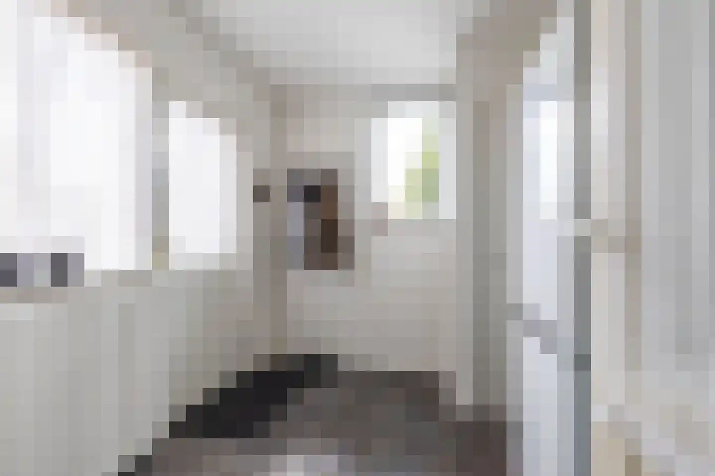 Kloostermankamp 4 Drogeham thumbnail 17
