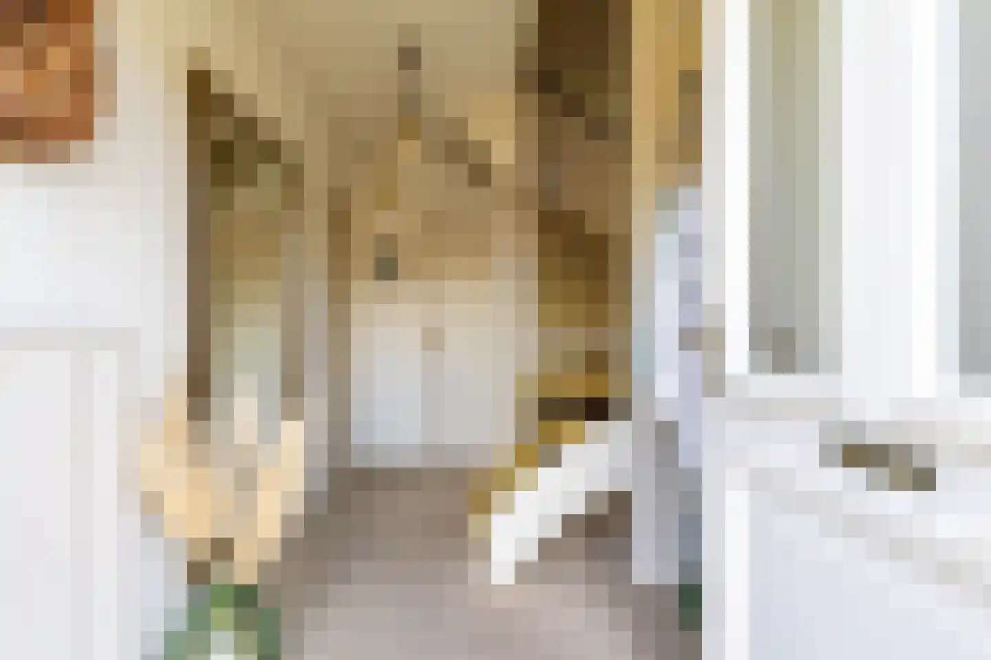 Kloostermankamp 4 Drogeham thumbnail 6