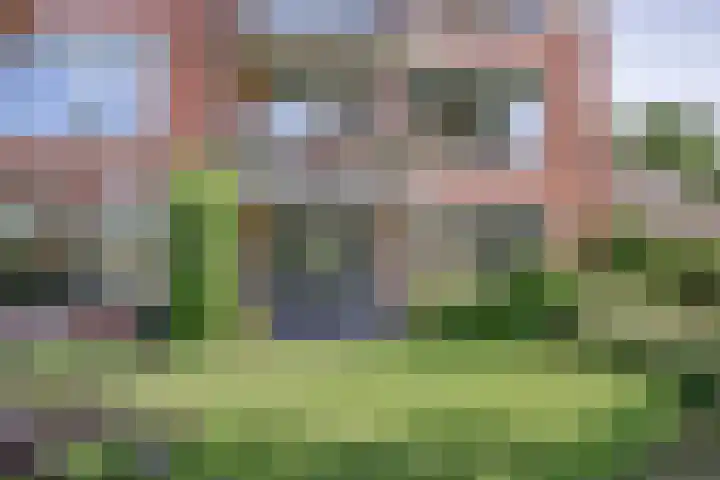 Kloostermanshof 18 Heino thumbnail 21