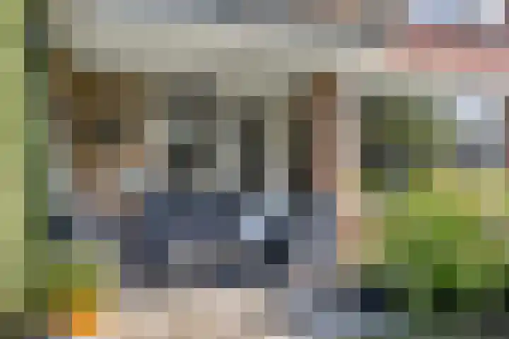 Kloostermanshof 18 Heino thumbnail 22