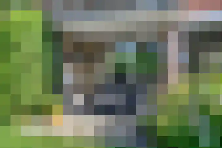 Kloostermanshof 18 Heino thumbnail 23