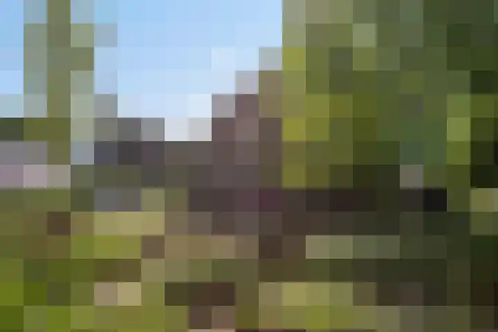 Kloostermanshof 18 Heino thumbnail 25