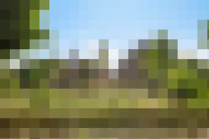 Kloostermanshof 18 Heino thumbnail 26