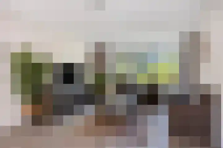 Kloostermanshof 18 Heino thumbnail 7