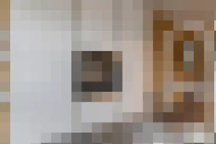 Kloostermanshof 6 Heino thumbnail 12