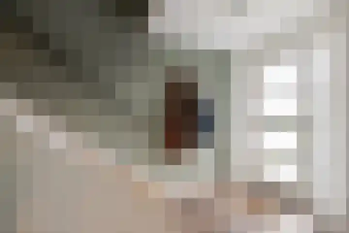 Kloostermanshof 6 Heino thumbnail 13