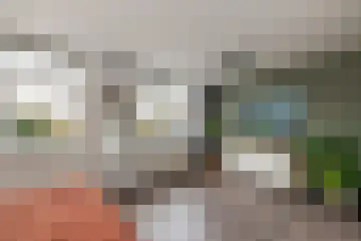 Kloostermanshof 6 Heino thumbnail 17
