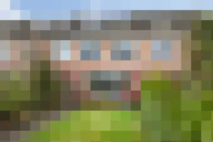 Kloostermanshof 6 Heino thumbnail 26