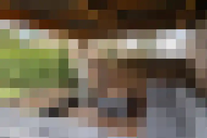 Kloostermanshof 6 Heino thumbnail 30