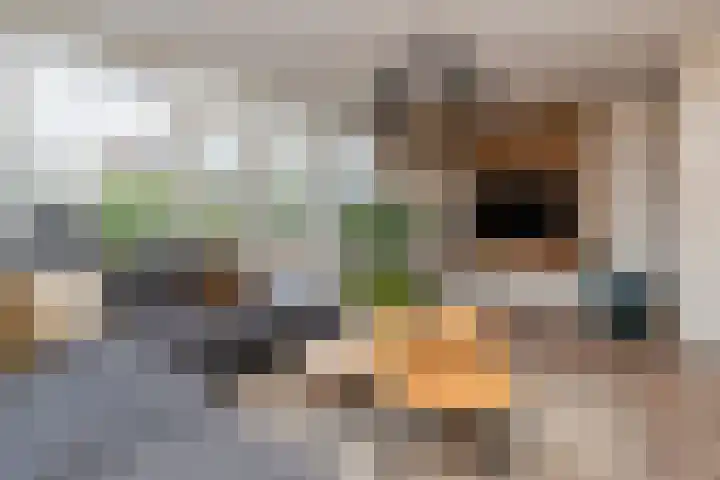 Kloostermanshof 6 Heino thumbnail 6