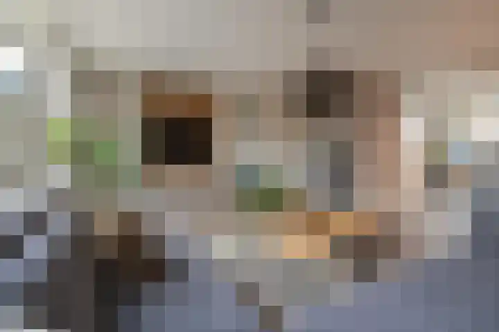 Kloostermanshof 6 Heino thumbnail 7