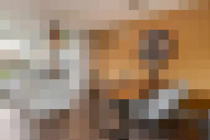 Kloostermanshof 6 Heino thumbnail 9