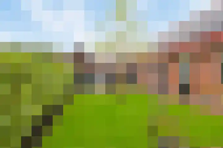 Kloostermanswijk WZ 12 Klazienaveen thumbnail 16