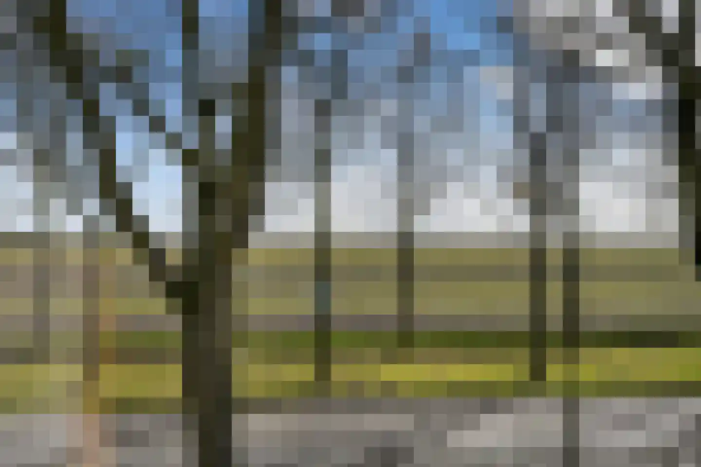 Kloostermanswijk WZ 49 Klazienaveen thumbnail 32