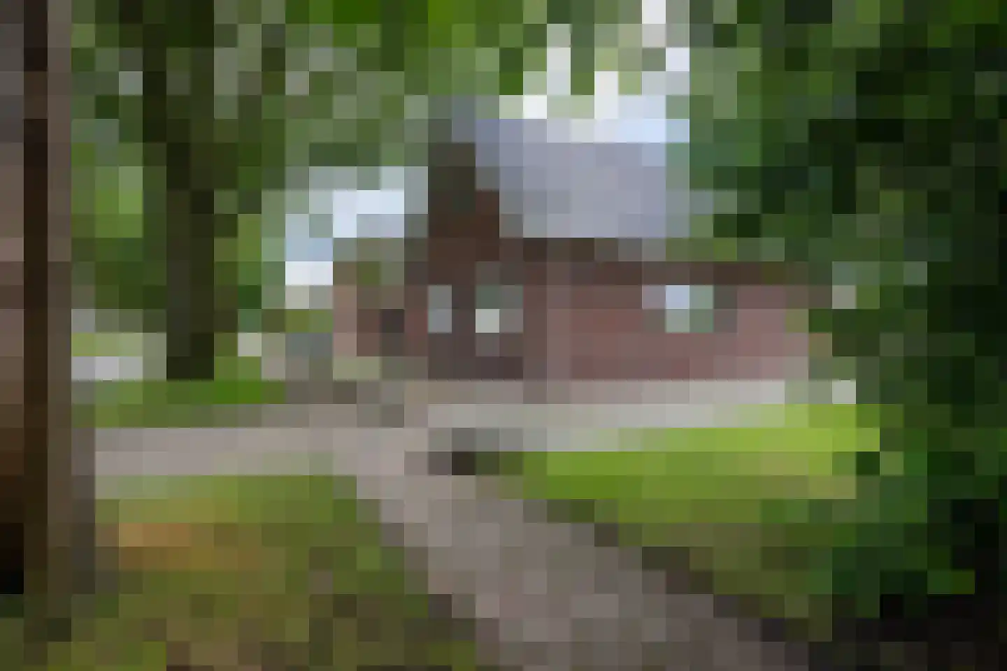 Kloostermanswijk WZ 49 Klazienaveen thumbnail 46