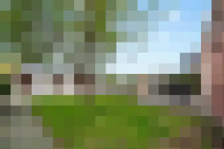 Kloostermanswijk WZ 58 Klazienaveen thumbnail 35