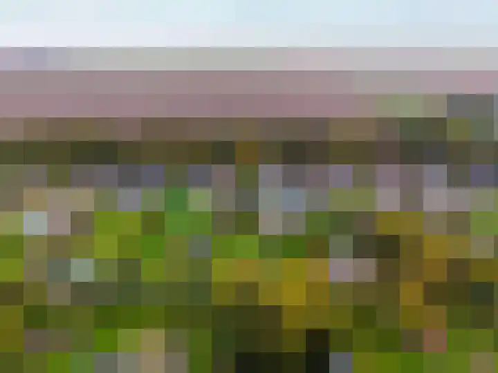 Kloostermanswijk WZ 58 Klazienaveen thumbnail 4