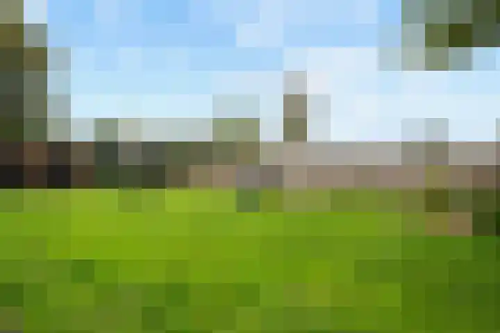 Kloostermanswijk WZ 58 Klazienaveen thumbnail 41