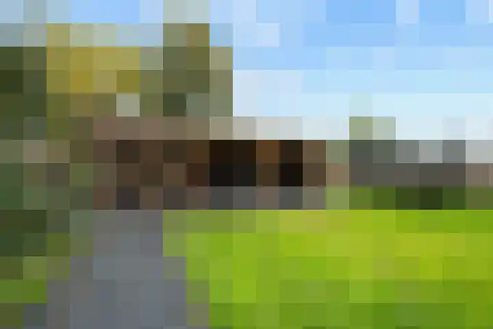 Kloostermanswijk WZ 58 Klazienaveen thumbnail 42