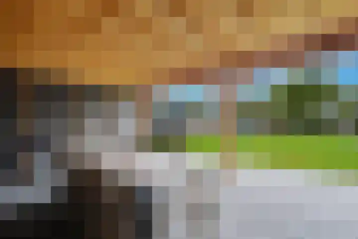 Kloostermanswijk WZ 58 Klazienaveen thumbnail 44