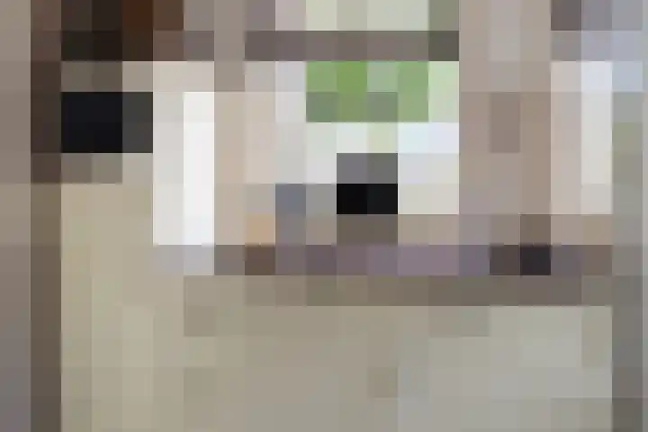 Kloostermanswijk WZ 64 Klazienaveen thumbnail 17