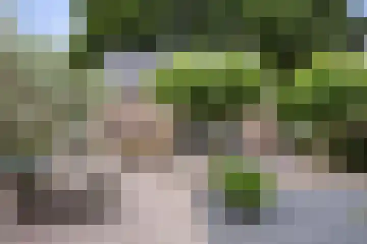 Kloostermanswijk WZ 64 Klazienaveen thumbnail 40