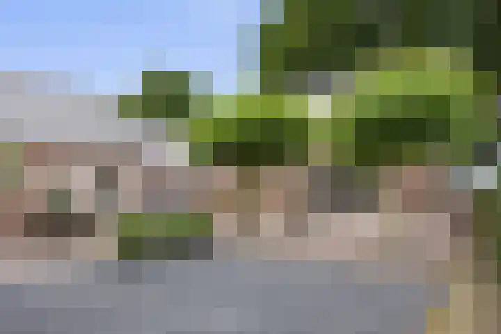 Kloostermanswijk WZ 64 Klazienaveen thumbnail 42