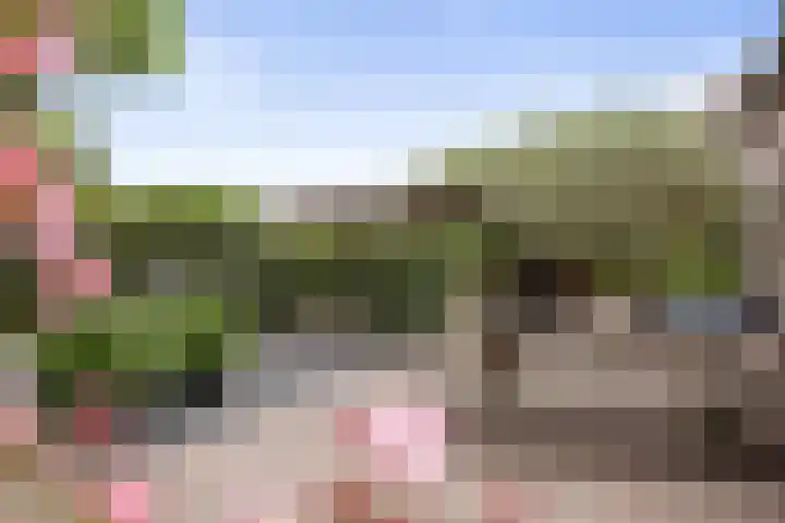 Kloostermanswijk WZ 64 Klazienaveen thumbnail 44