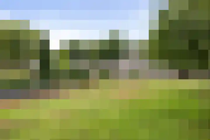Kloostermanswijk WZ 64 Klazienaveen thumbnail 53