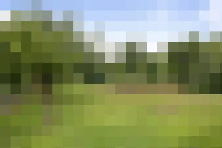 Kloostermanswijk WZ 64 Klazienaveen thumbnail 54