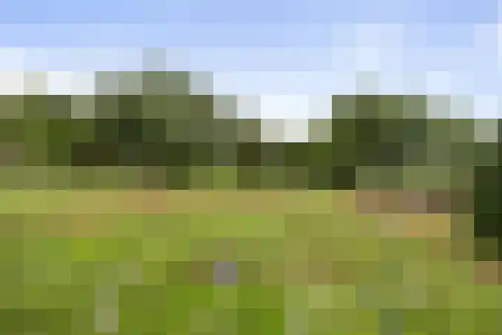 Kloostermanswijk WZ 64 Klazienaveen thumbnail 55