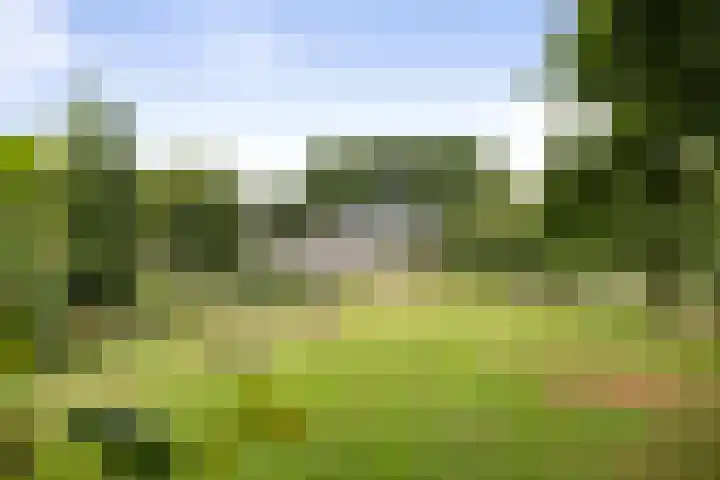 Kloostermanswijk WZ 64 Klazienaveen thumbnail 56