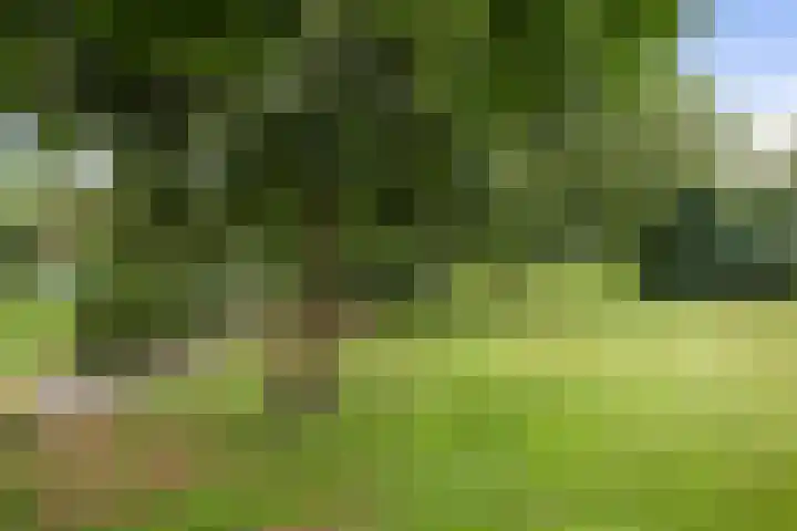 Kloostermanswijk WZ 64 Klazienaveen thumbnail 58