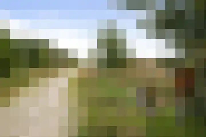 Kloostermanswijk WZ 64 Klazienaveen thumbnail 62
