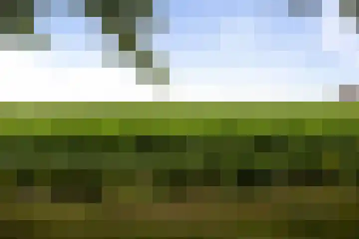 Kloostermanswijk WZ 64 Klazienaveen thumbnail 65