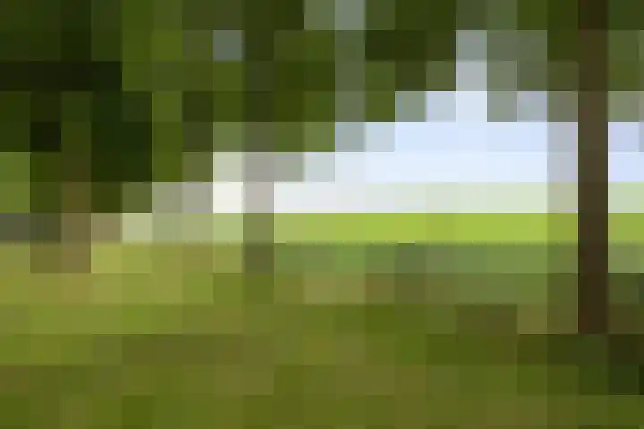 Kloostermanswijk WZ 64 Klazienaveen thumbnail 66